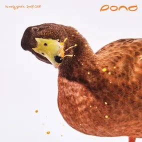 Early Years: 2008–2010 (RSD 2025)