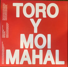 Load image into Gallery viewer, Toro Y Moi - Mahal
