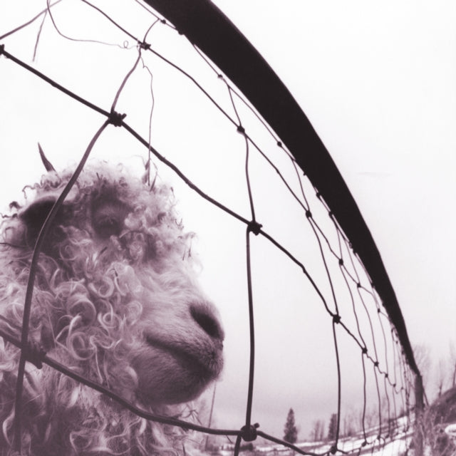 Pearl Jam-Vs. 30th anniversary edition