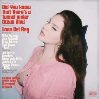 IE-DID YOU KNOW THAT THERES A TUNNEL UNDER OCEAN BLVD LIGHT GREEN/ALT COVER