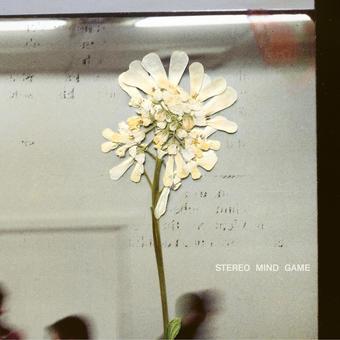 RSDIE-STEREO MIND GAME
