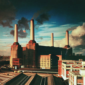 ANIMALS