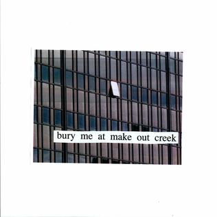 'Bury Me At Makeout Creek' LP